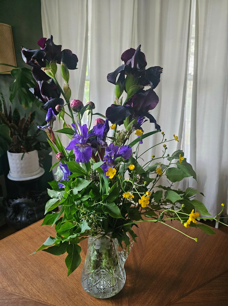 A cut crystal vase holding tall Black Dragon iris with purple Siberian iris, yellow buttercups, peony buds, and trailing greenery against a deep green wall.